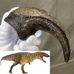 カルカロドントサウルス ハンドクロウ 獣脚類 かぎ爪 化石 肉食恐竜 1402 カルカロドントサウルス ハンドクロウ 獣脚類 かぎ爪 化石 肉食