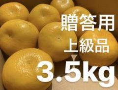 愛媛 贈答用 宇和ゴールド 3.5Kg 河内晩柑 嵐ゴールド