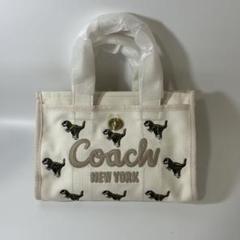 2025年最新】coach レキシーの人気アイテム - メルカリ
