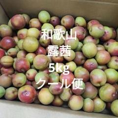 和歌山 露茜 5kg クール便 - メルカリ