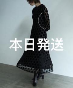 CLANEクラネ☆ビックドットワンピース☆サイズ01⭐︎正規品￼