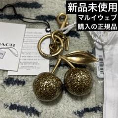 2025年最新】COACH レディース キーホルダー・キーリングの人気