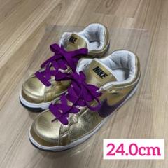 NIKE エア トゥループ ロウ　24.0cmのサムネイル