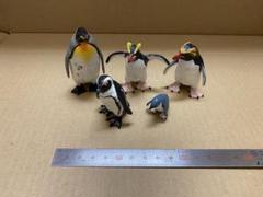 【送料込】ペンギン フィギュア 小さめ 水族館 5体セット キズありのサムネイル