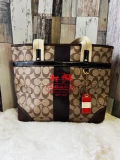 mamamae☆日本未発売☆新品☆正規品☆コーチCoach マザーズバッグ 2025年最新】COACH レディース マザーズバッグの人気アイテム