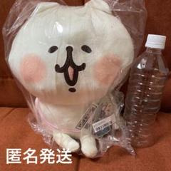 カナヘイの小動物 ゆるっとアミューズメント×サンリオキャラクターズ ねーねーねこ