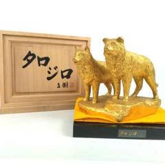 富永直樹 タロジロ ブロンズ製 金箔仕上げ 定価25万 桐箱付き