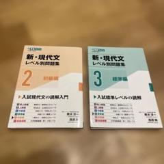 新・現代文レベル別問題集　②初級編　③標準編　セット