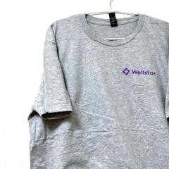 ANVIL メンズ　企業Tシャツ　Wellstar 病院　病棟 グレー　XL