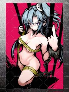 戦姫絶唱シンフォギア　風鳴翼　D12　写真　イラスト　ブロマイド　2L判