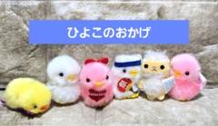 ぴよりーな　ひよこのおかげ　　　　　　【6点】