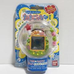 ウラじんせーエンジョイ！ たまごっちプラス ちゃおウラたまサマー ciao たまごっちプラス ciao ウラじんせーエンジョイ！チャオ ちゃお