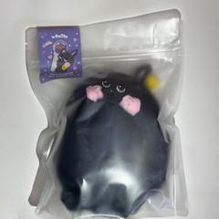 RIIZE -FANLIGHT CAPE / 2024 FAN CON [RIIZING DAY FINALE