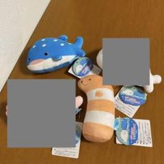 もちっこ　ゆるかわ　アクアフレンズ　2個セット