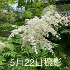 メルカリ ビーズワークス 手づくりビーズアクセサリーの本 4 手芸本 ハンドメイド 住まい 暮らし 子育て 300 中古や未使用のフリマ