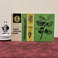 ❤️セール78B⑦チェコビンテージ植物図鑑 洋書古書 ボタン