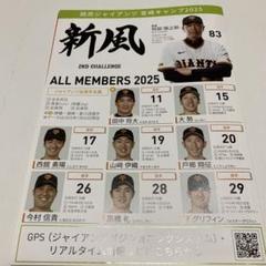 2025年最新】巨人宮崎キャンプの人気アイテム - メルカリ