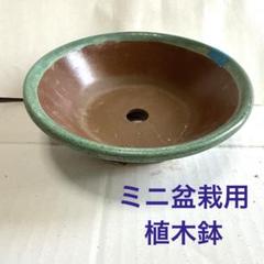 お値下げ☆盆栽鉢　ミニ盆栽鉢 ミニ盆栽鉢 / 瀬戸焼