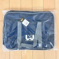 新品未使用品 マルミ運動具店 ワールドペガサスワッペ【グリーン】緑 旧ワッペ マルミ運動具店 ワールドペガサススクバ ワッペ 緑 旧型 新品未