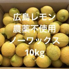 広島レモン 10kg 瀬戸内産 農薬不使用のサムネイル