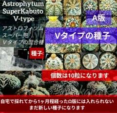 2025年最新】スーパー兜の人気アイテム - メルカリ