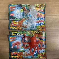 オーシャンアタック ブックレット付き Amazon.co.jp: シーモンスターズ&Co. ビッグ イタチザメ