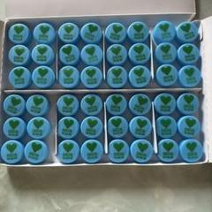 工作用　ペットボトルキャップ48個