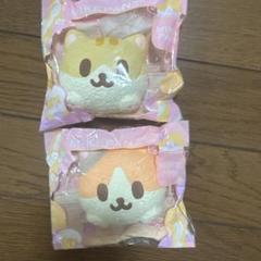 スクイーズ　ブルーム　みけパン