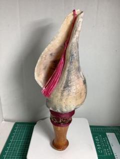 法螺貝笛 36～37cm 特大 笛 魔除け 修験 山伏貝 ホラ貝 赤ヒモ付き 楽天市場】【 伊勢 宮忠 】【 No.1 法螺貝（ほら貝） 大型