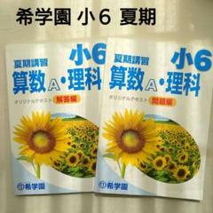希学園/小6 夏期講習 算数A・国語・理科