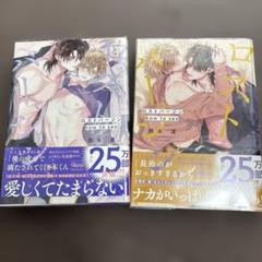 366.ロストバージン how to sex 上、下