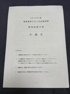 2019年度 環境情報学部 小論文