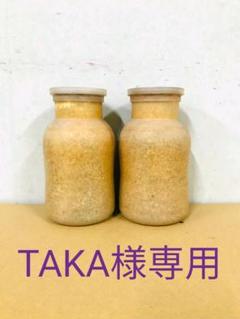 オオヒラ菌糸ビン12本セット