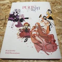 PEACH-PIT 25周年特別展 公式画集 - メルカリ