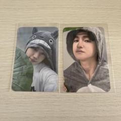 fantasyboys EVERLINE