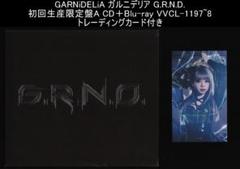 GARNiDELiA G.R.N.D. 初回生産限定盤A CD＋Blu-ray
