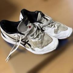 バレーボールシューズ ローテジャパン