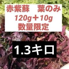 赤紫蘇【葉のみ】120g+10g無農薬・無化学肥料 赤紫蘇【葉のみ】120g+10g無農薬・無化学肥料 - メルカリ