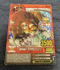 アニマルカイザーカード カイザーアポロン アニマルカイザー アニマルカード ど根性獣神王 アポロン ポテコ