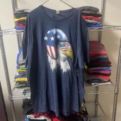 ①90sヴィンテージ　米アニマルイーグル鳥　鷲tシャツ　USA直輸入 動物古着