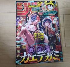 週刊少年ジャンプ　ワンピース　フレーク　ステッカー　コレクション　付録