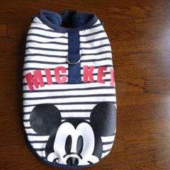 ディズニー ミッキー ストライプペット服 Ｓサイズ
