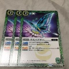 ウスバアゲハ「6種」値引き ウスバアゲハ「6種」値引き