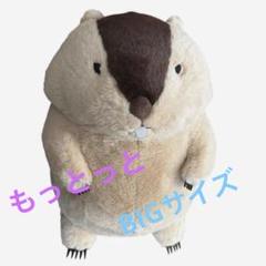 2025年最新】マーモット もっとっとの人気アイテム - メルカリ