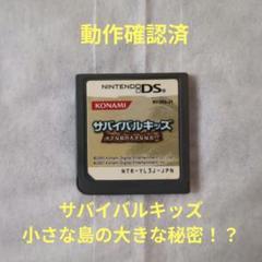 任天堂DS サバイバルキッズ 小さな島の大きな秘密！？