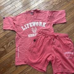 Lifework フレンチブルドッグ セットアップ