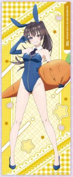 くじメイト 周防有希 ビッグタペストリー、B2タペストリー 2種セット
