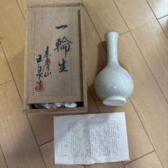 新品　奈良赤膚焼　赤膚山　大塩玉泉　奈良絵　耳付花瓶　壺　花生け　花入　遠州七窯 Amazon.co.jp: 奈良赤膚焼 赤膚山 大塩玉泉 奈良絵 耳付花瓶 壺