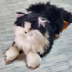 優しい手触り猫ぬいぐるみ リアル 本物そっくり 癒しねこ 記念日 黒猫
