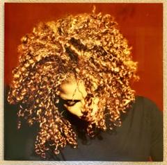 激レア盤★Janet Jackson The Velvet Rope レコード Janet Jackson – The Velvet Rope – 2 x Vinyl (180g, Gatefold